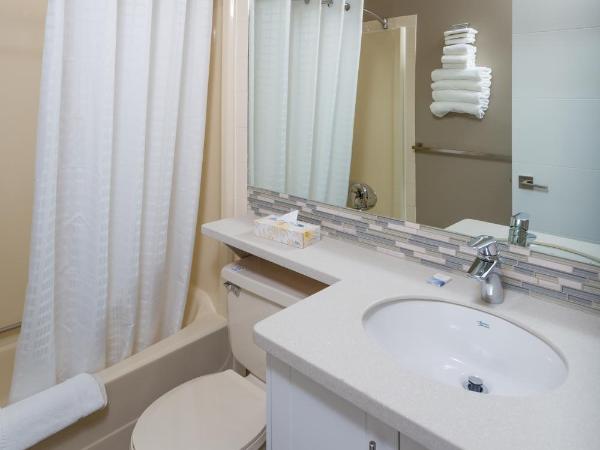 Siesta Suites : photo 10 de la chambre suite 1 chambre avec cuisine