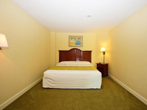 Holiday Sands at South Beach : photo 6 de la chambre condo 1 chambre avec salle de bains, 1 lit king-size, 1 canapé-lit et 1 lit escamotable - t23 - côté océan