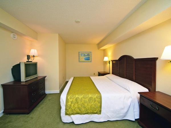 Holiday Sands at South Beach : photo 2 de la chambre condo 1 chambre avec salle de bains, lit king-size et lit escamotable - t31 - vue latérale sur environs