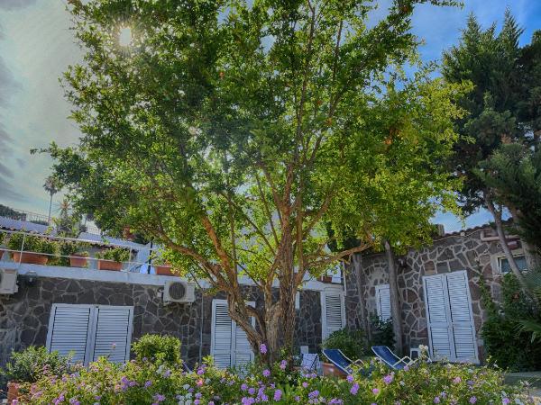 Hotel Parco Cartaromana : photo 4 de la chambre chambre quadruple