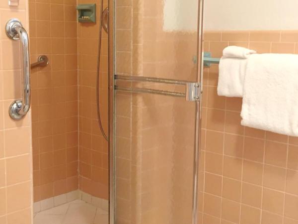 Manhattan Tower Apartment Hotel : photo 7 de la chambre appartement 1 chambre - vue sur jardin - 108