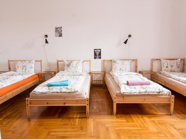 Pal's Hostel and Apartments : photo 4 de la chambre appartement familial