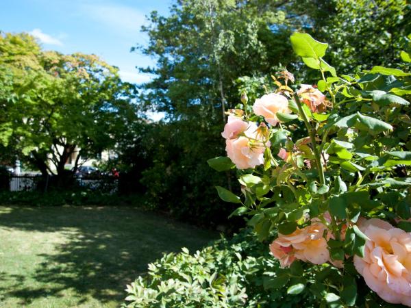 Lowena Cafe and Accommodation : photo 1 de la chambre chambre double avec salle de bains commune