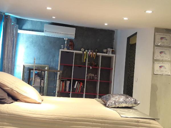 Les Suites de Naevag : photo 10 de la chambre maison 2 chambres