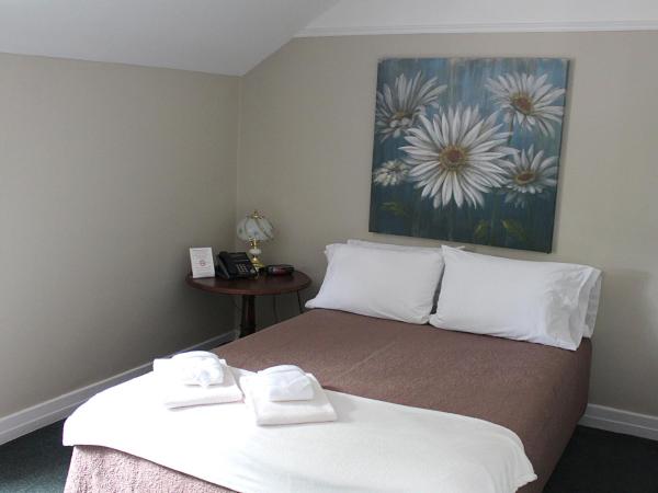 Hotel Auberge Michel Doyon : photo 1 de la chambre chambre double standard avec salle de bains privative