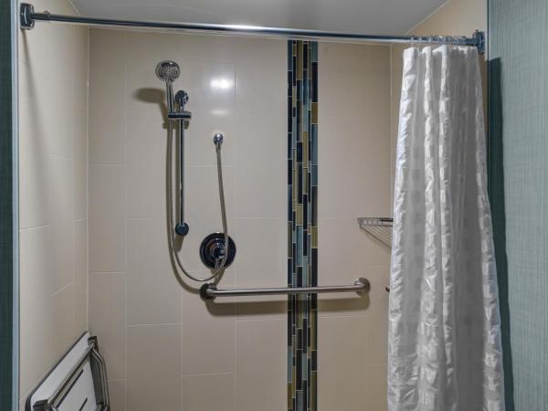 Hyatt Place Charlotte Airport Billy Graham Parkway : photo 7 de la chambre chambre lit king-size pour personnes à mobilité réduite avec canapé-lit et baignoire adaptée