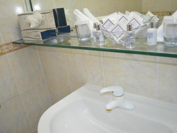 Congress Plaza Hotel Chicago : photo 4 de la chambre chambre lit king-size avec vue sur le lac - non-fumeurs