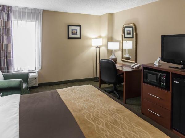 Comfort Inn Pentagon City : photo 2 de la chambre chambre lit king-size - non-fumeurs