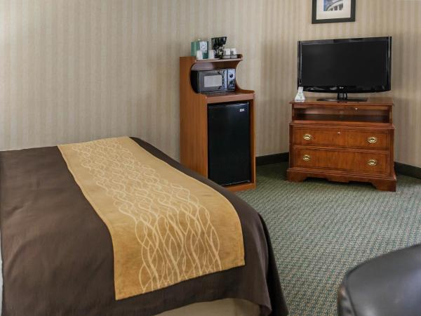 Comfort Inn Pentagon City : photo 3 de la chambre chambre lit king-size - non-fumeurs