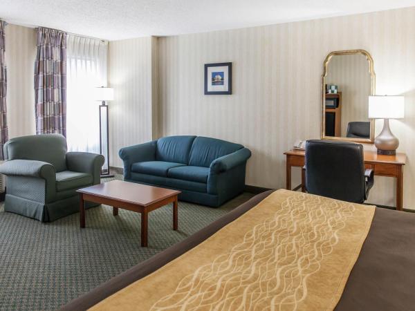 Comfort Inn Pentagon City : photo 3 de la chambre suite lit king-size avec canapé-lit - non-fumeurs