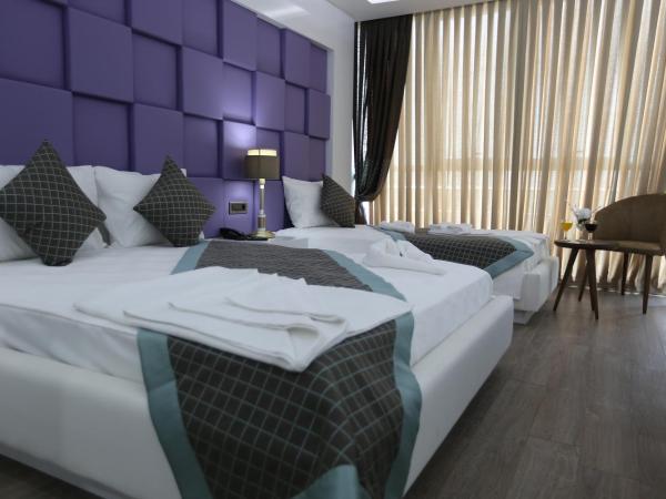 Elips Royal Hotel & SPA : photo 7 de la chambre chambre triple standard