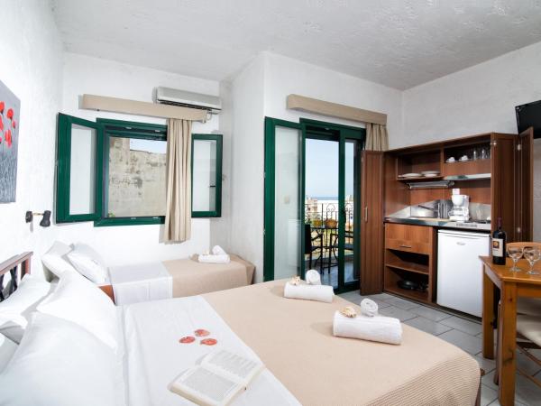 Erofili Apartments : photo 8 de la chambre studio - vue sur mer ou montagne 