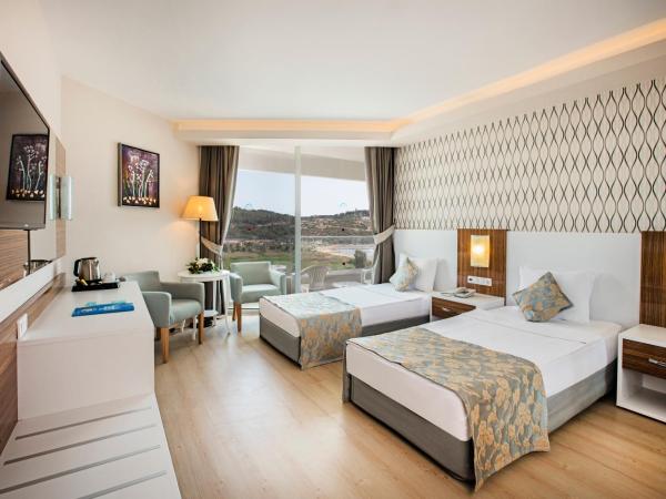 Palm Wings Ephesus Beach Resort - Ultra All Inclusive : photo 2 de la chambre chambre double ou lits jumeaux standard - vue sur mer