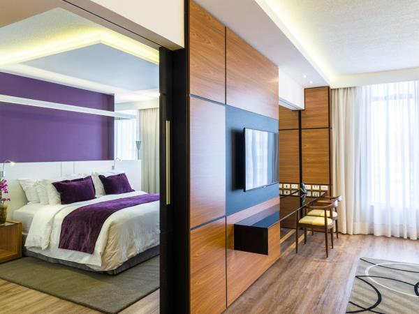 Radisson Hotel Curitiba : photo 4 de la chambre luxury suite queen