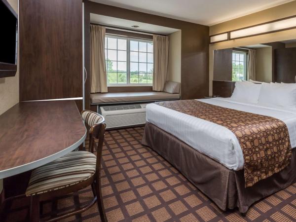 Microtel Inn & Suites by Wyndham Jacksonville Airport : photo 5 de la chambre deluxe queen room with bath tub - mobility/hearing accessible - non-smoking