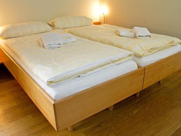 Alte Remise : photo 8 de la chambre studio