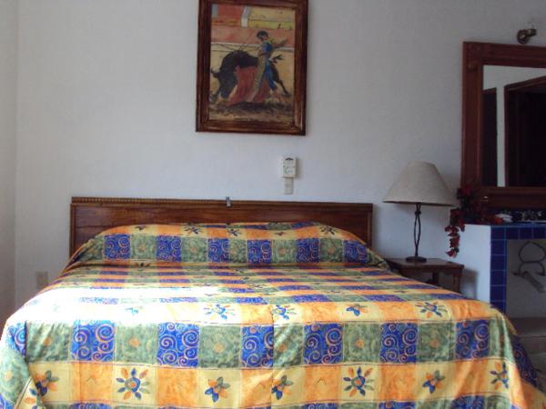 Vallarta Jr Suites : photo 4 de la chambre studio