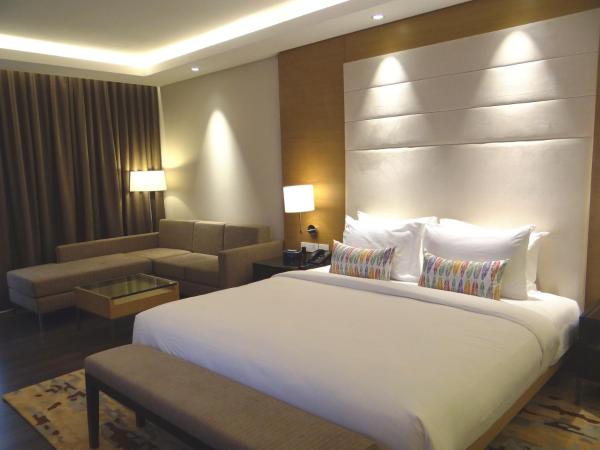 Feathers- A Radha Hotel, Chennai : photo 4 de la chambre suite junior