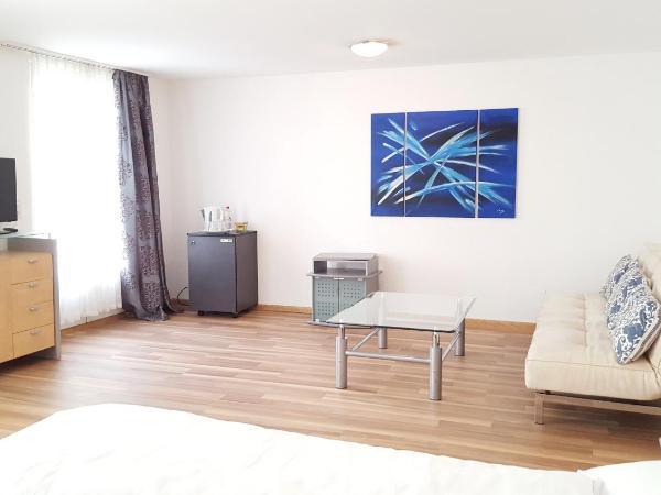 Spalenbrunnen Hotel & Restaurant Basel City Center : photo 6 de la chambre chambre double