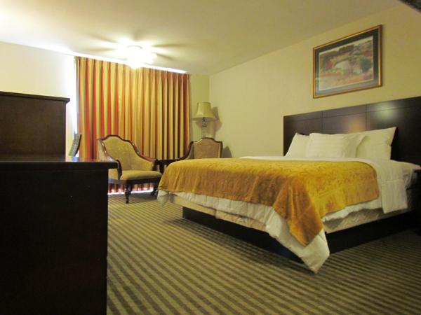 Romana Hotel - Houston Southwest : photo 1 de la chambre chambre lit king-size