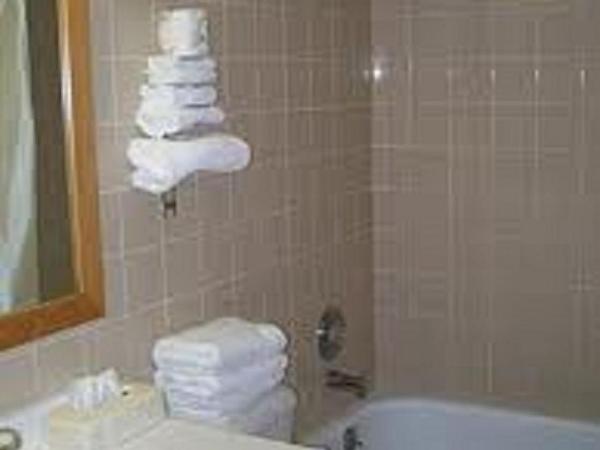 Econo Lodge By the Falls : photo 3 de la chambre chambre 2 lits queen-size - non-fumeurs