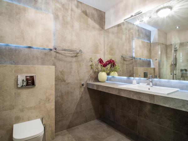 TatryTop Stara Polana Spa : photo 10 de la chambre appartement deluxe