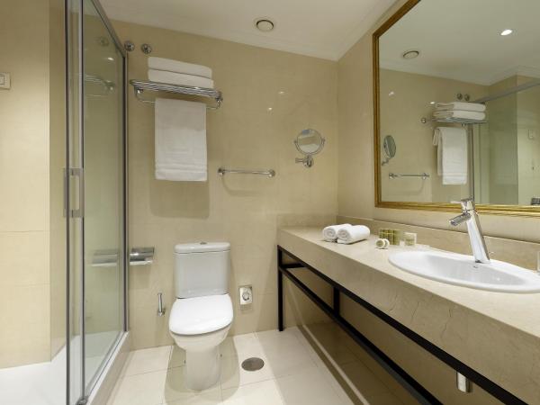 Eurostars Casa de la Lírica : photo 7 de la chambre chambre double ou lits jumeaux