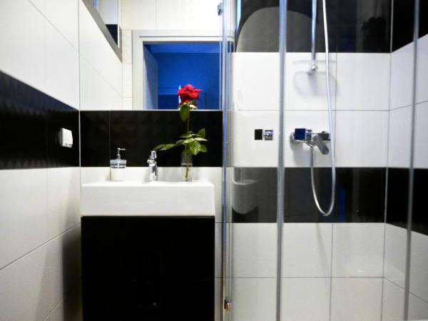 Villa Balladyna : photo 2 de la chambre chambre double avec terrasse