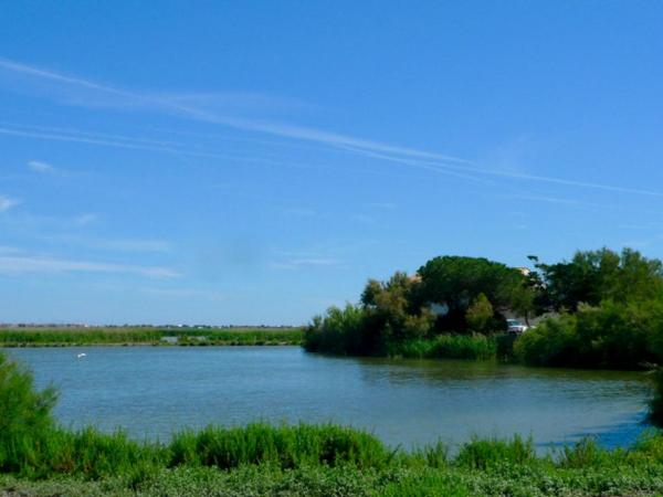 Mas des Cabidoules : photo 8 de la chambre chambre double - vue sur jardin