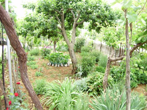 House Krk : photo 3 de la chambre appartement 2 chambres