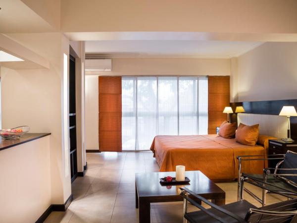 Montañas Azules Apart Hotel : photo 6 de la chambre suite exécutive