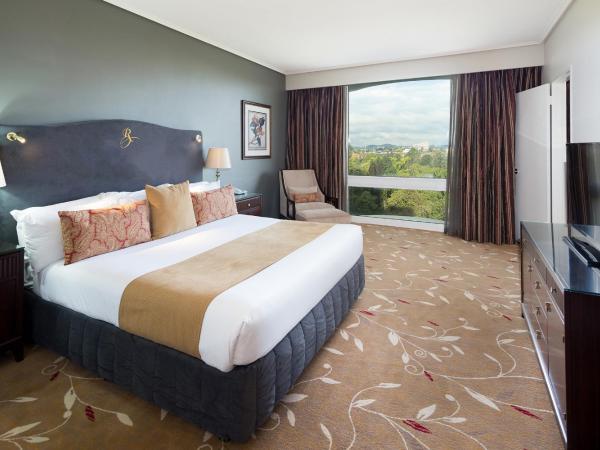 Royal On The Park : photo 5 de la chambre executive suite with spa bath- bottle of french champagne and complimentary self parking