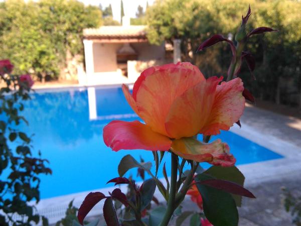 CHA Nanakas Village Inn : photo 2 de la chambre appartement 2 chambres