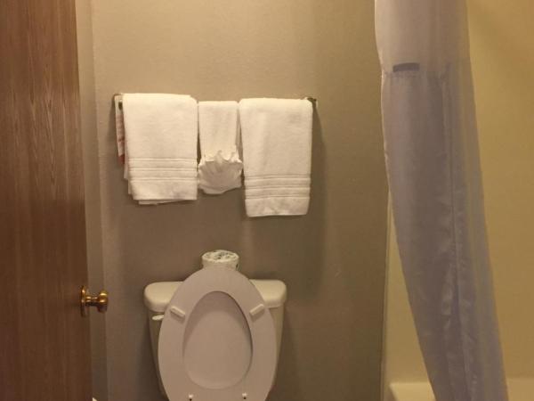 Super 8 by Wyndham Louisville Airport : photo 6 de la chambre chambre lit queen-size - non-fumeurs