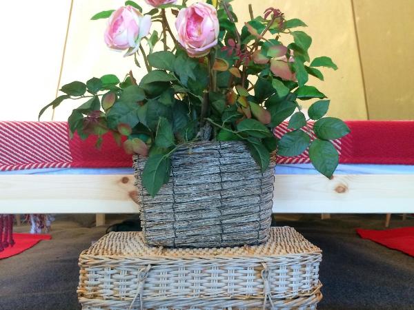 Oxford Riverside Glamping : photo 5 de la chambre tente cloche