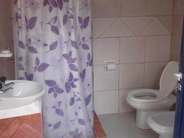 Hospedaje La Rana : photo 2 de la chambre chambre lits jumeaux avec salle de bains privative