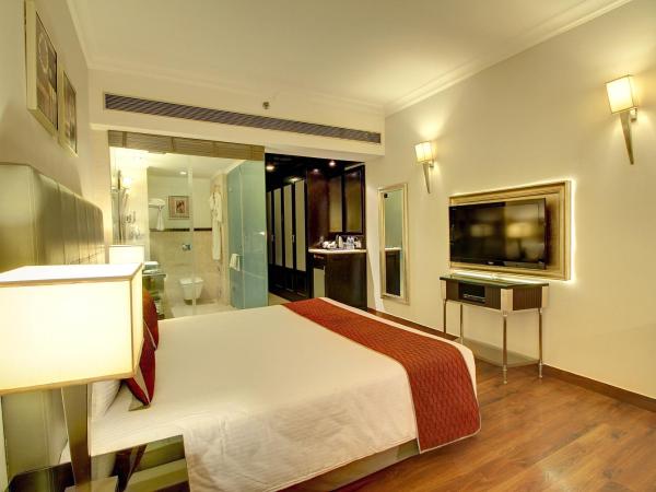 The Pllazio Hotel : photo 2 de la chambre executive room with 15% off on food and soft beverages 