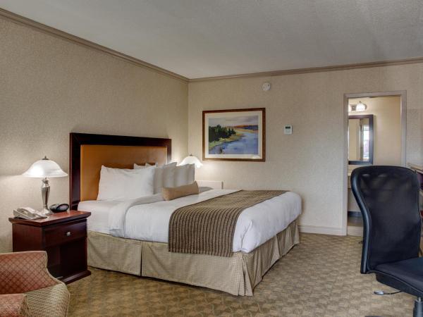 Best Western PLUS City Centre Inn : photo 5 de la chambre chambre lit king-size