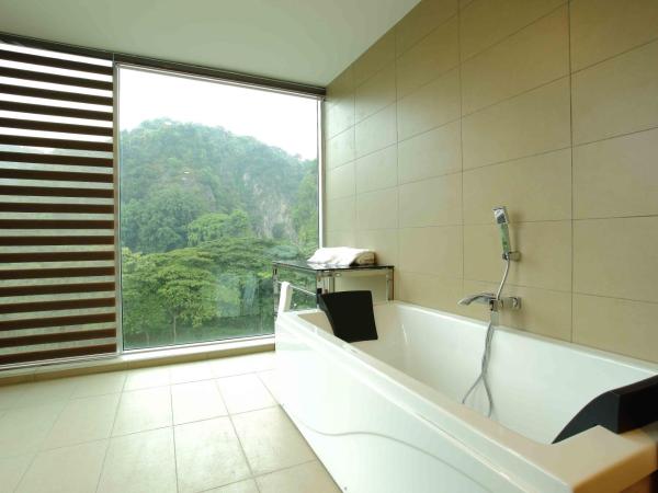 Symphony Suites Hotel : photo 3 de la chambre suite premier