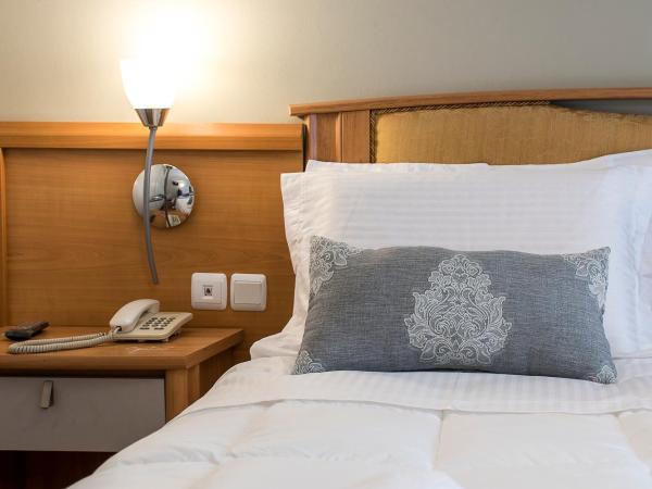 Ares Athens Hotel : photo 3 de la chambre chambre simple standard