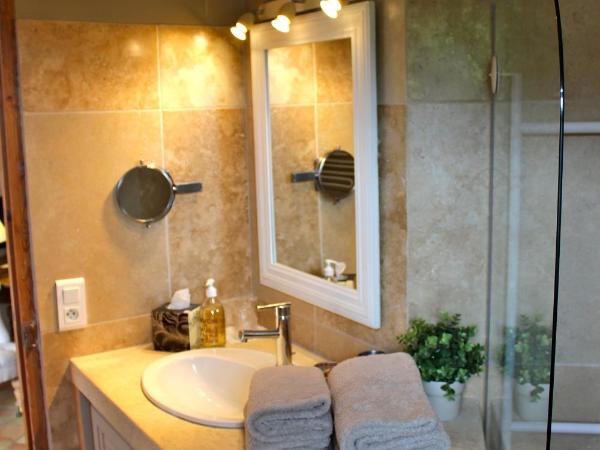 B&B La Badelle : photo 3 de la chambre chambre double avec salle de bains privative