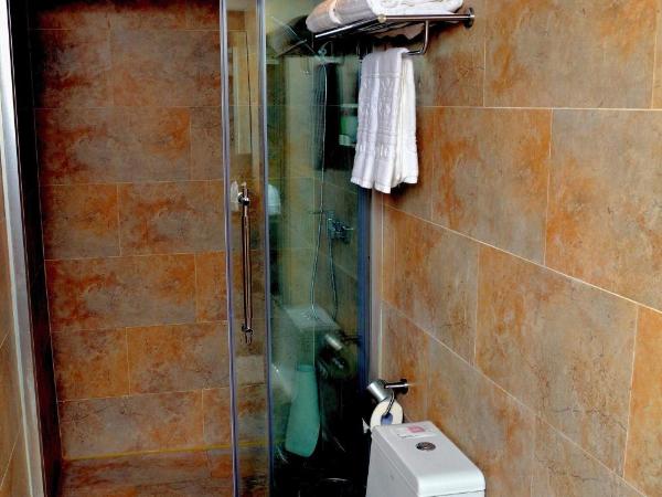 Guangzhou The Royal Garden Hotel : photo 5 de la chambre stanard double room