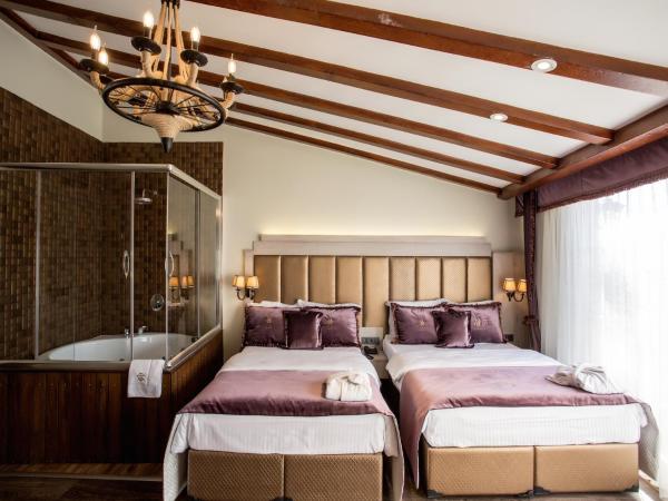 Bonne Sante Hotel : photo 3 de la chambre suite exécutive avec terrasse et jacuzzi