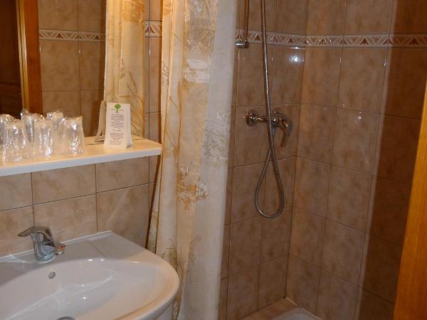 Hôtel Belalp : photo 5 de la chambre suite en duplex