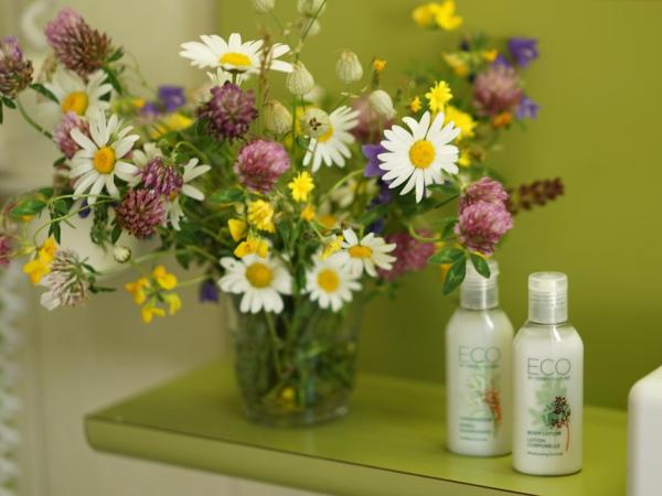 Thermal Hotels & Walliser Alpentherme Leukerbad : photo 3 de la chambre chambre simple deluxe grand bain