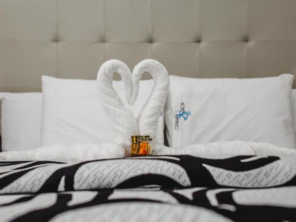 Hotel Flamingo Merida : photo 6 de la chambre chambre lit king-size standard