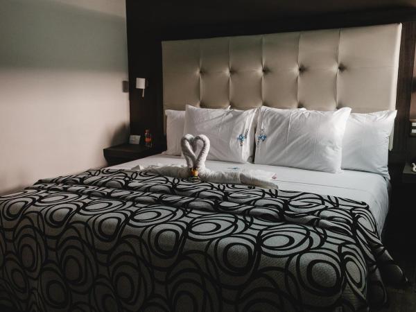 Hotel Flamingo Merida : photo 5 de la chambre chambre lit king-size standard