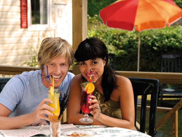 Ferienparadies Natterer See : photo 1 de la chambre mobile home « innsbruck »