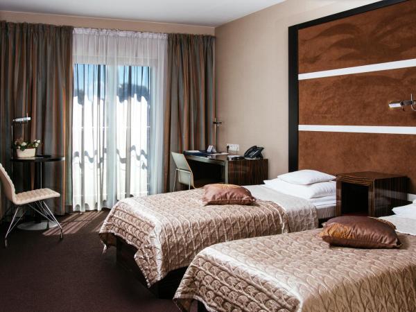 Niebieski Art Hotel & Spa : photo 3 de la chambre chambre lits jumeaux