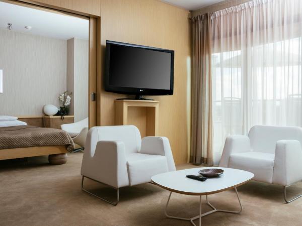 Niebieski Art Hotel & Spa : photo 7 de la chambre appartement